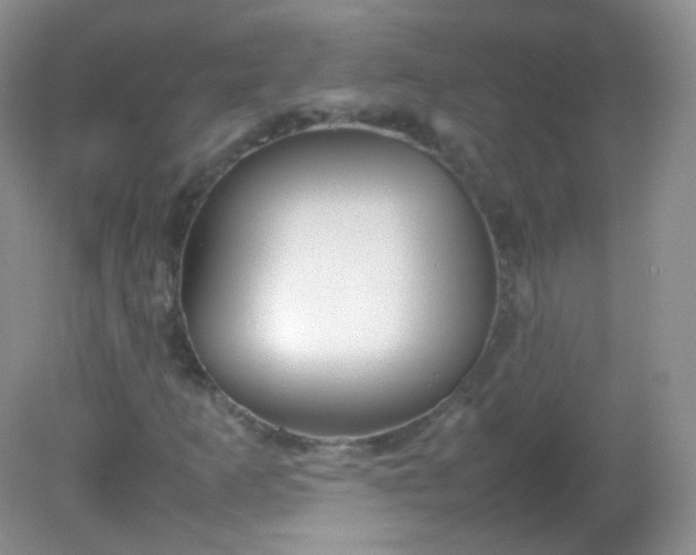 X0000082141253200702021600