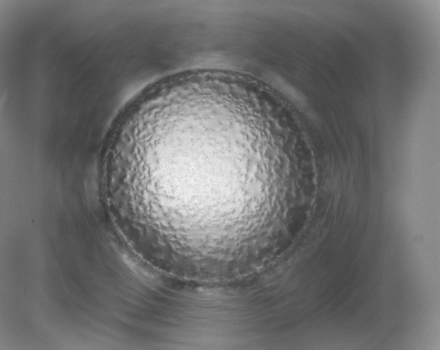 X0000082141264200702021600
