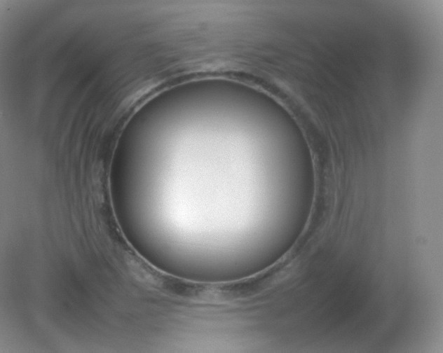X0000082141265200702021600