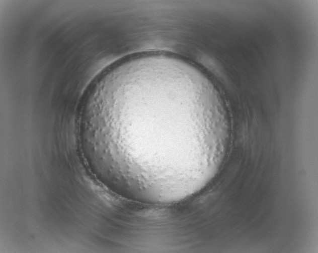 X0000082141268200702021600