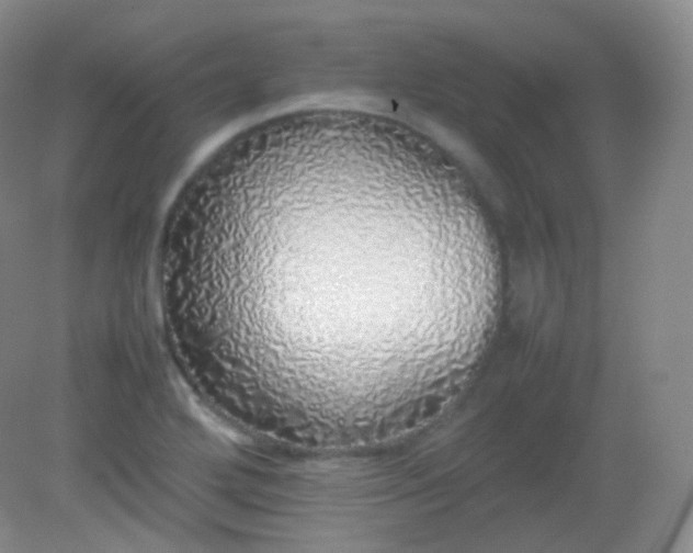 X0000082141272200702021600