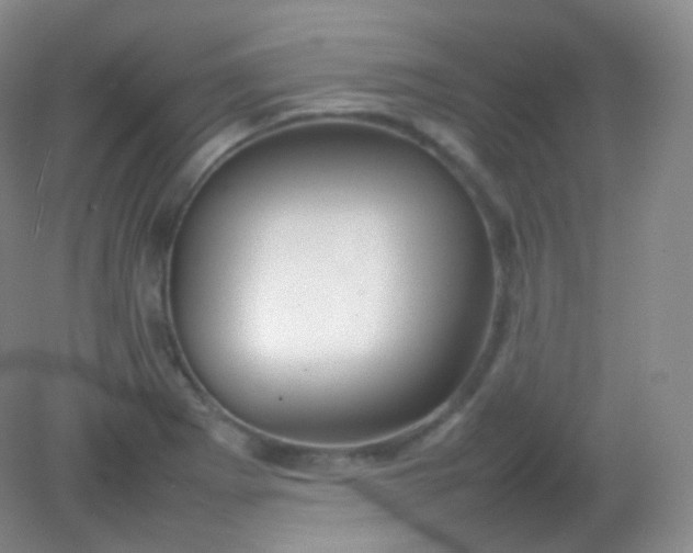 X0000082141273200702021600