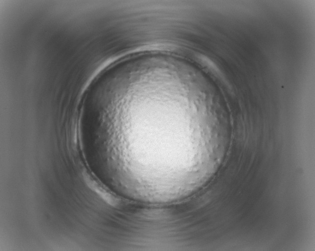X0000082141276200702021600