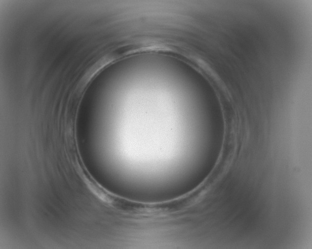 X0000082141281200702021600