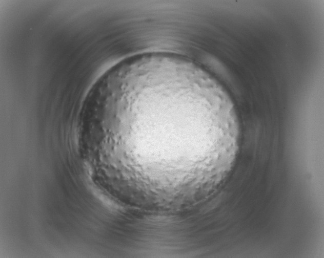 X0000082141284200702021600