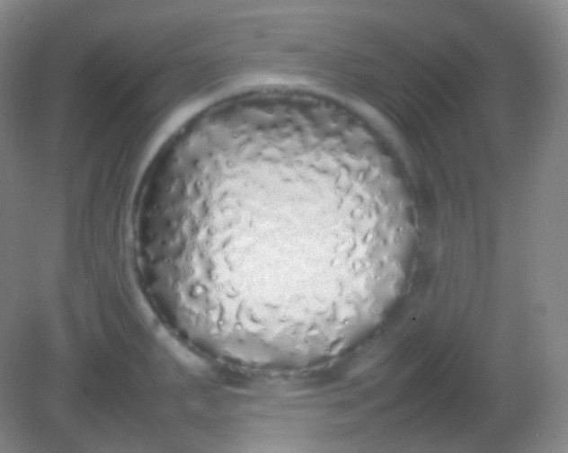 X0000082141287200702021559