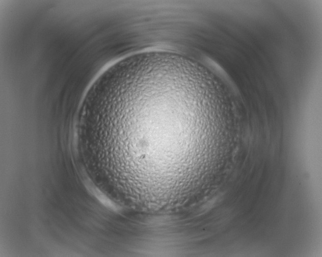 X0000082141292200702021559