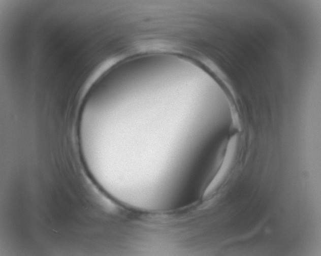 X0000082141293200702021559