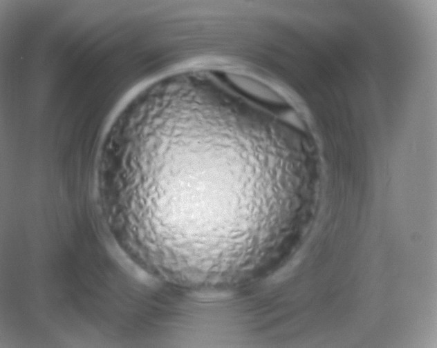 X0000082141296200702021559
