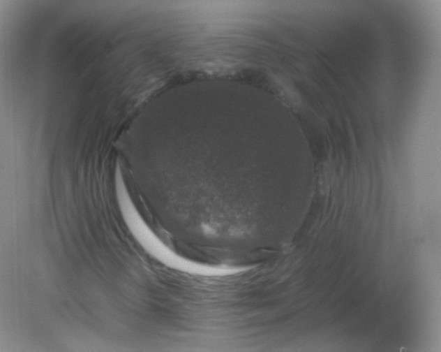 X0000082141298200702021559