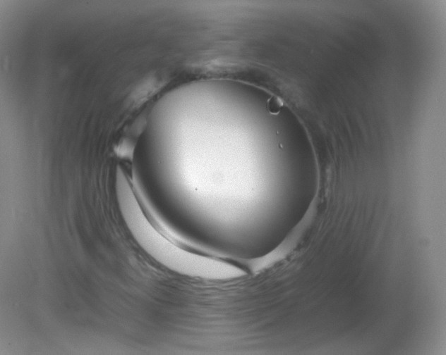 X0000082141300200702021559