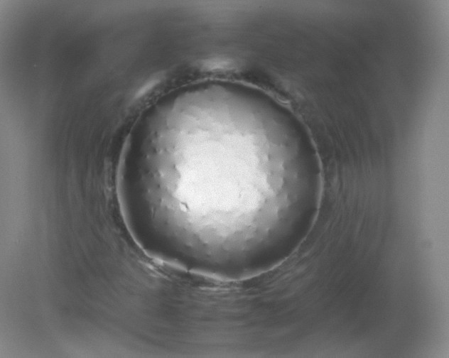 X0000082141301200702021559