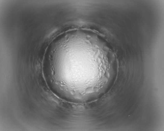 X0000082141302200702021559
