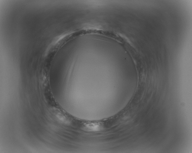 X0000082141303200702021559