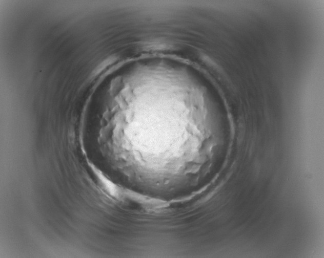 X0000082141305200702021559