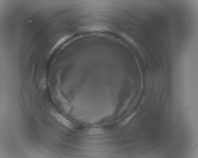 X0000082141306200702021559