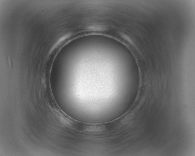 X0000082141307200702021559