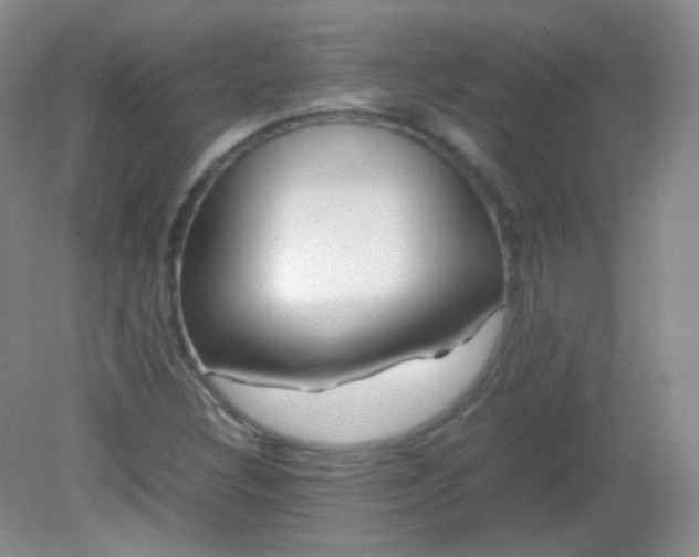 X0000082141308200702021559