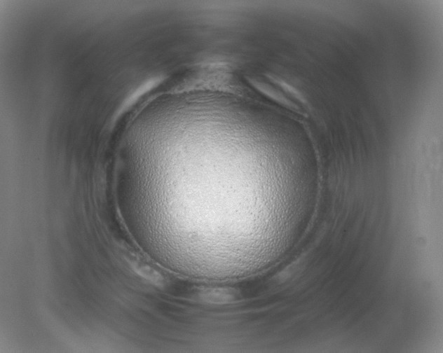 X0000082141309200702021559