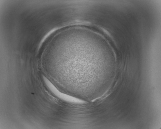 X0000082141310200702021559
