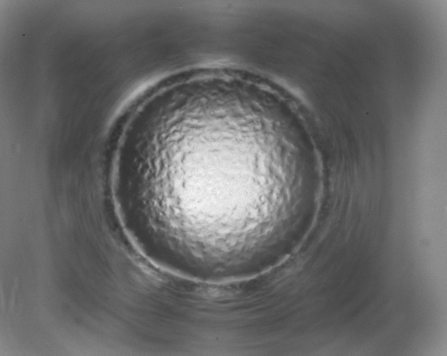 X0000082141311200702021559