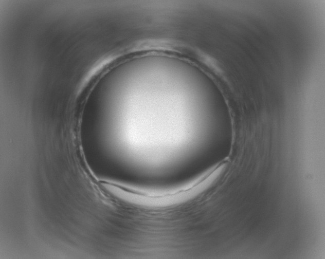 X0000082141312200702021559