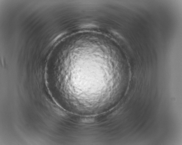 X0000082141313200702021559
