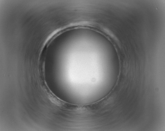 X0000082141316200702021559