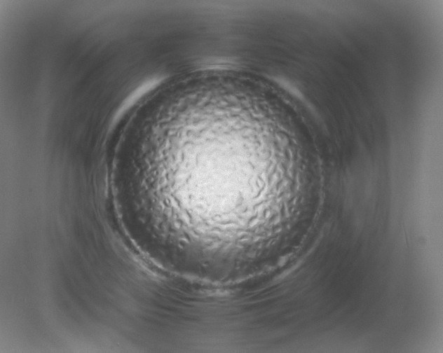 X0000082141317200702021559