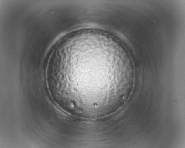 X0000082141318200702021559