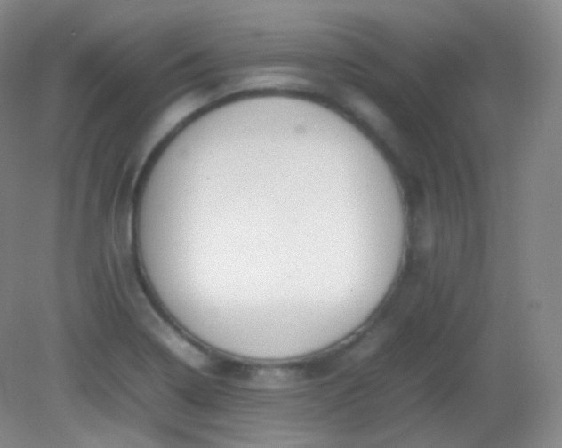 X0000082141322200702021559