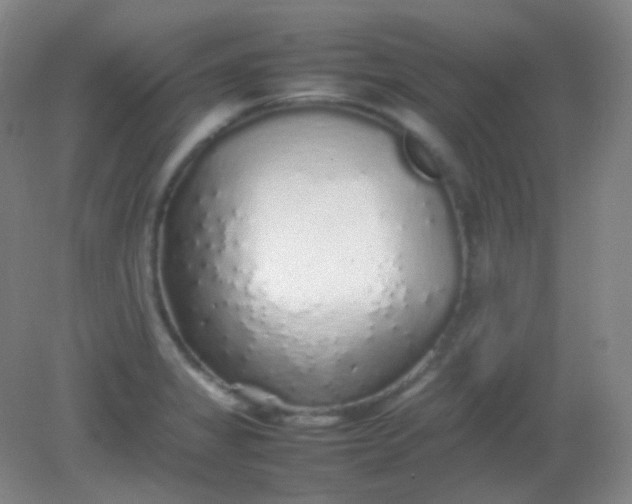 X0000082141325200702021559