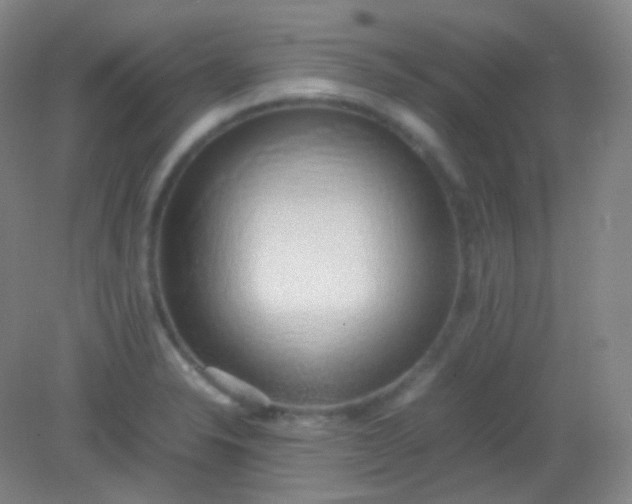 X0000082141326200702021559