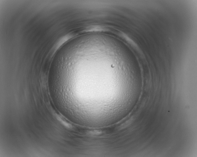 X0000082141329200702021559