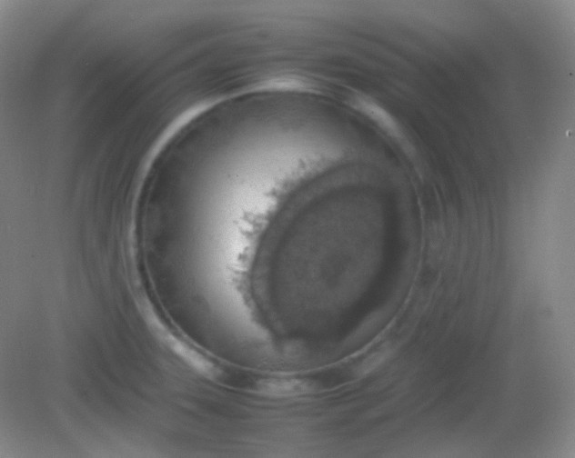 X0000082141331200702021559