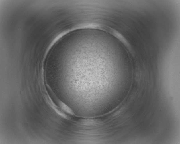 X0000082141332200702021559