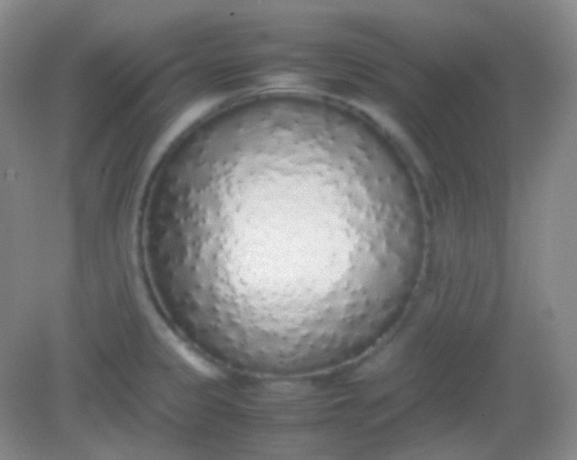 X0000082141333200702021559