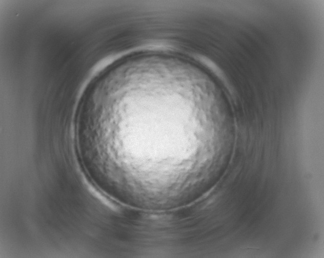 X0000082141335200702021559