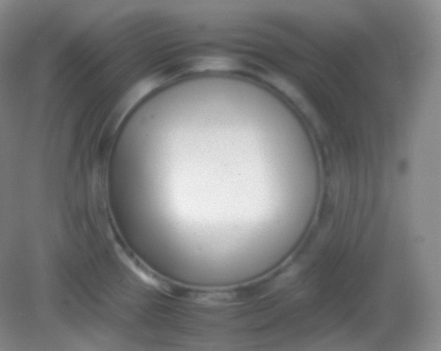X0000082141337200702021559
