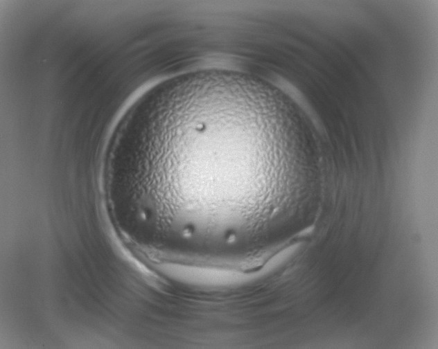 X0000082141339200702021559