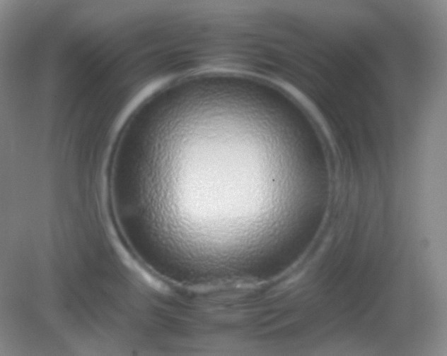 X0000082141341200702021559