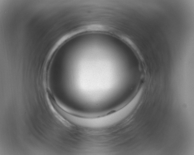 X0000082141342200702021559