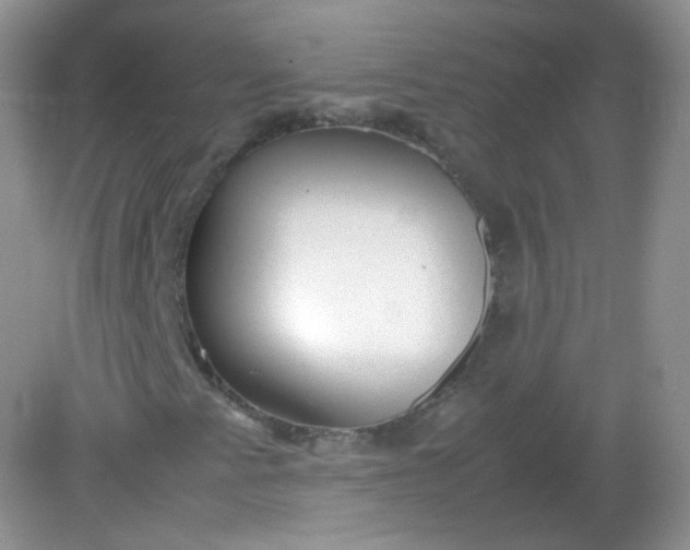 X0000082141345200702021558