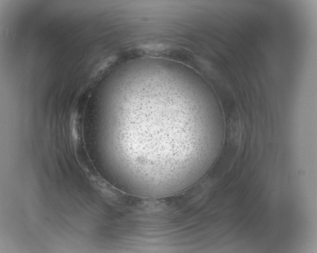 X0000082141346200702021558