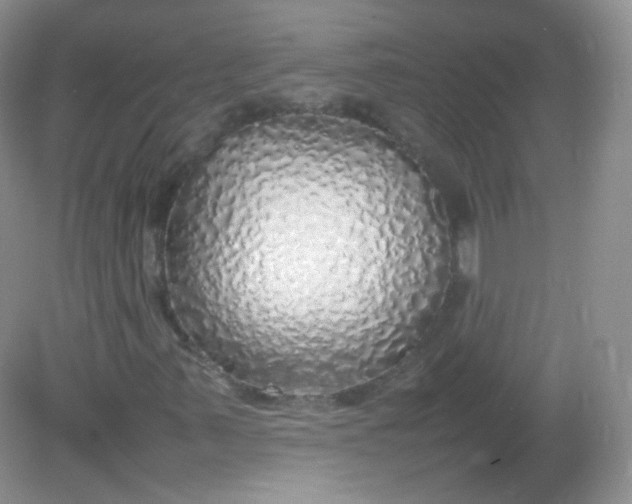 X0000082141347200702021558