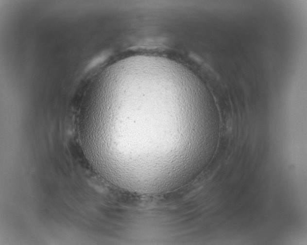 X0000082141350200702021558