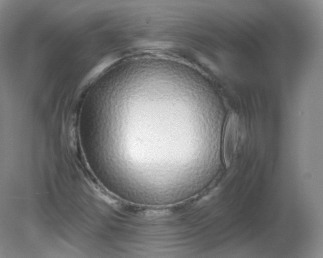 X0000082141354200702021558