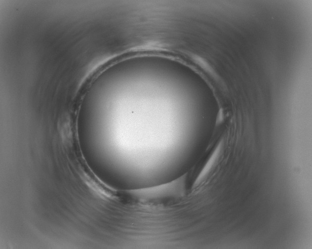 X0000082141356200702021558