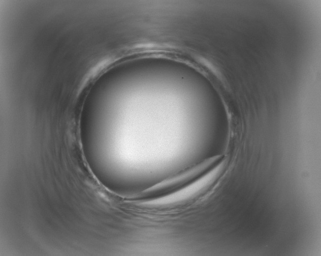 X0000082141357200702021558