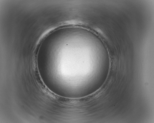 X0000082141358200702021558